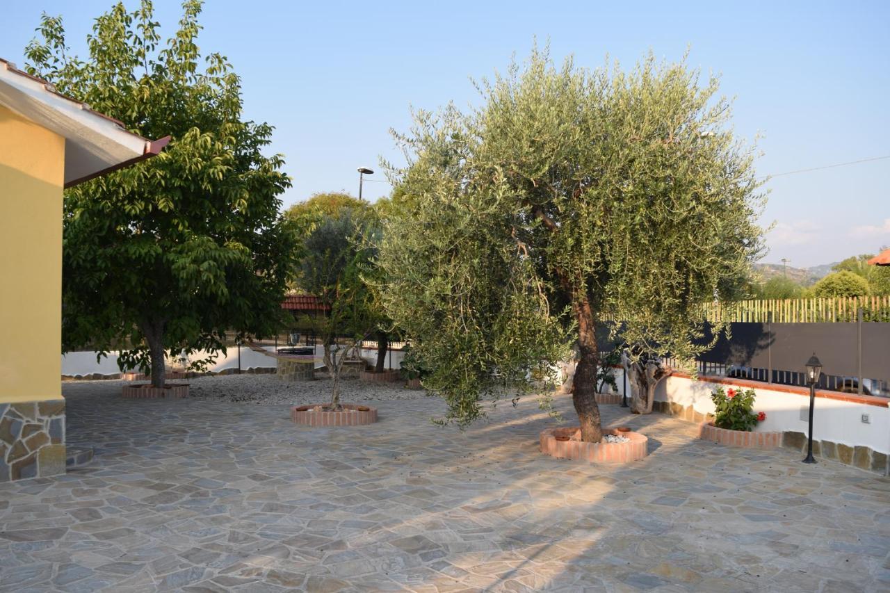La Casa Di Ely Lejlighed Agropoli Eksteriør billede